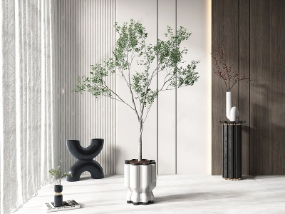 现代盆栽盆景植物模型3d模型