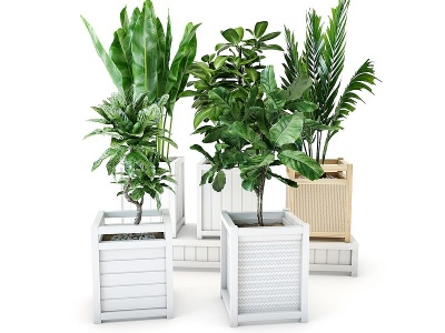 3d现代户外绿植盆栽模型