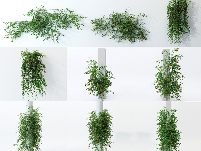 3d现代植物藤蔓模型