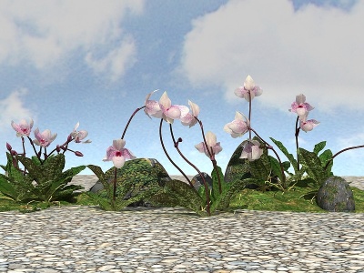 3d精品景观开花植物模型