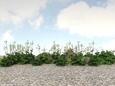 精品景观开花植物花草模型3d模型