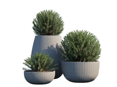 3d现代室外盆栽植物模型