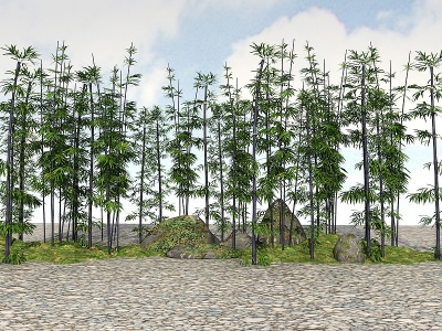 精品景观竹子植物模型3d模型