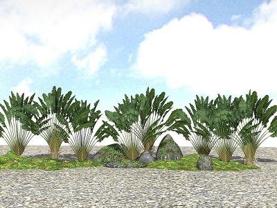 3d精品景观植物模型