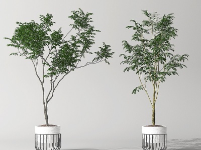 室内植物盆栽模型3d模型