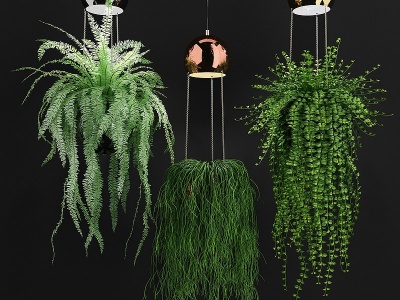 3d室内悬挂吊装植物模型