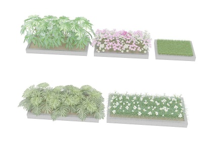 3d室外矮植物模型
