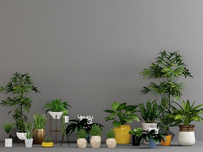3d现代北欧植物盆栽模型