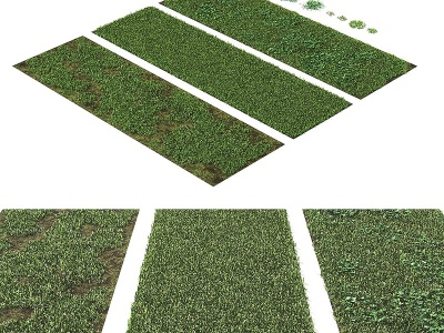 现代绿植草坪模型3d模型