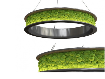 3d环形苔藓吊灯模型