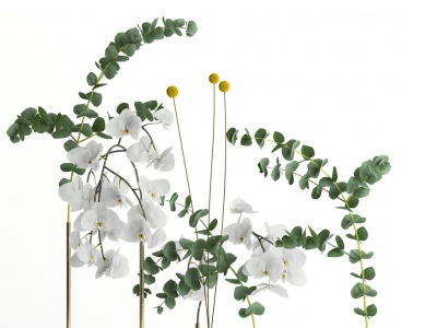 3d桉树蝴蝶兰花艺花瓶组合模型