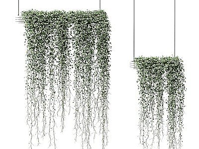 绿植藤蔓吊篮模型