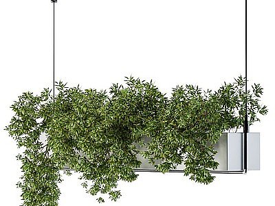 3d绿植吊篮植物花槽模型