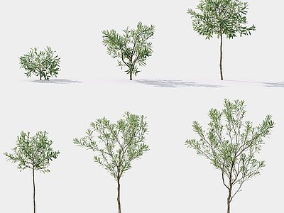 3d现代树花草植物景观树模型