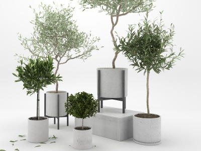 现代植物盆栽花盆模型3d模型