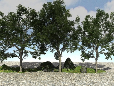 景观大树植物模型3d模型