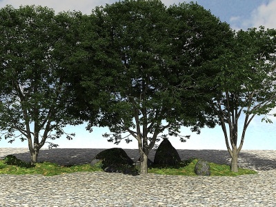 景观大树植物模型3d模型