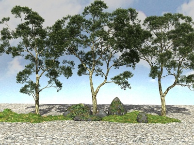 3d景观大树植物模型
