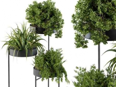 绿植盆栽置物架模型3d模型