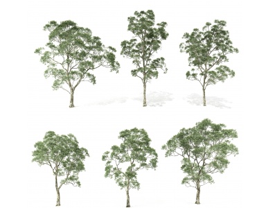 现代树木模型3d模型