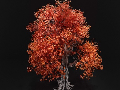 3d现代树古树模型