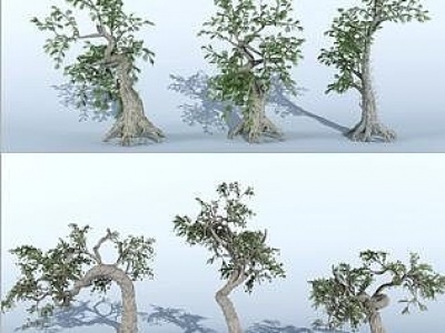 现代古树大树模型3d模型