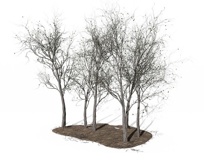 3d现代树模型