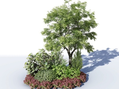 3d现代树模型
