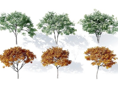 现代树模型3d模型