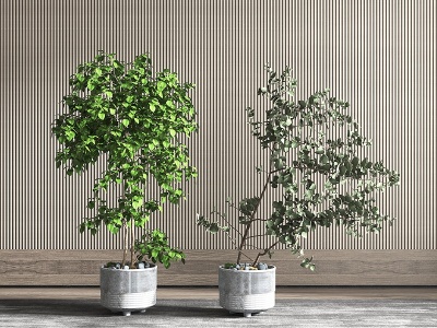 3d现代盆栽绿植模型