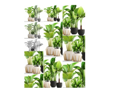3d北欧装饰绿植植物模型
