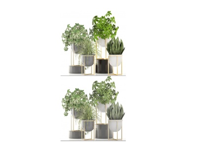 现代植物模型3d模型