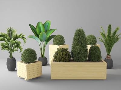 3d日式盆栽植物花草户外树木模型