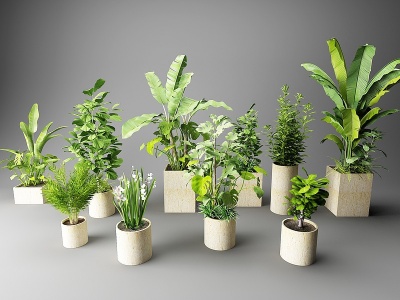 北欧盆栽绿植花草植物模型3d模型