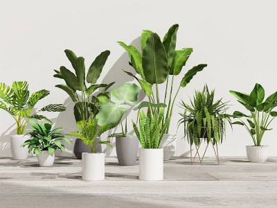 3d现代植物盘栽组合模型