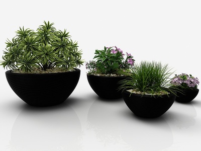 3d现代风格花坛植物模型