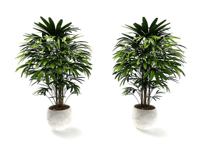 现代风格植物花盆模型3d模型