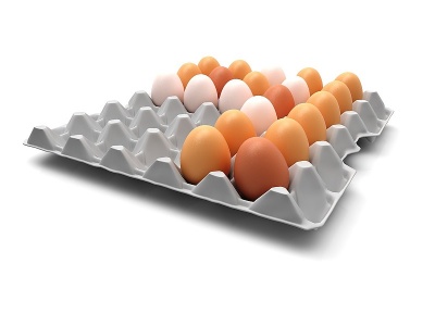 现代风格鸡蛋盒模型