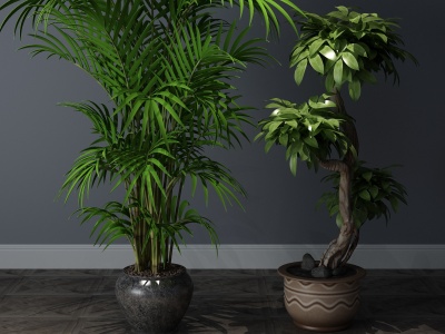 3d现代植物盆栽盆景模型