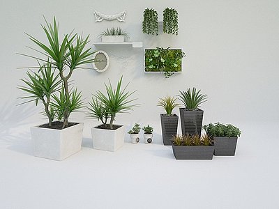 3d其它植物盆栽<font class='myIsRed'>装饰</font>品模型
