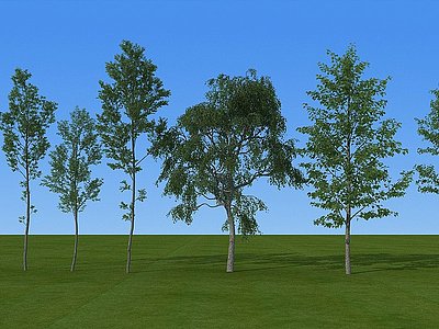 现代园林森林景观树木小品模型3d模型