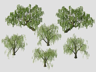 现代植物树木柳绿植模型3d模型