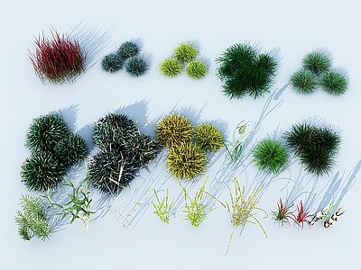 现代草植物模型3d模型