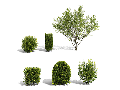 3d灌木景观树矮树模型
