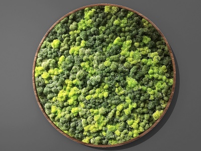绿植墙植物墙模型3d模型
