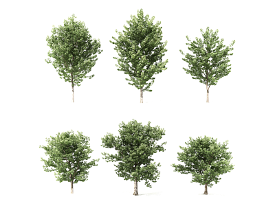 现代树古树模型3d模型
