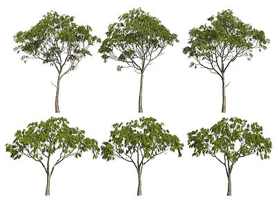 现代灌木模型3d模型