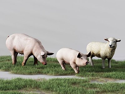 现代动物生猪草羊绵羊草坪模型