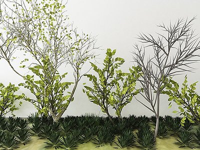 3d现代树植物组合模型