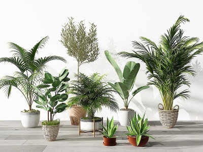 3d现代植物盆栽花盆绿植模型